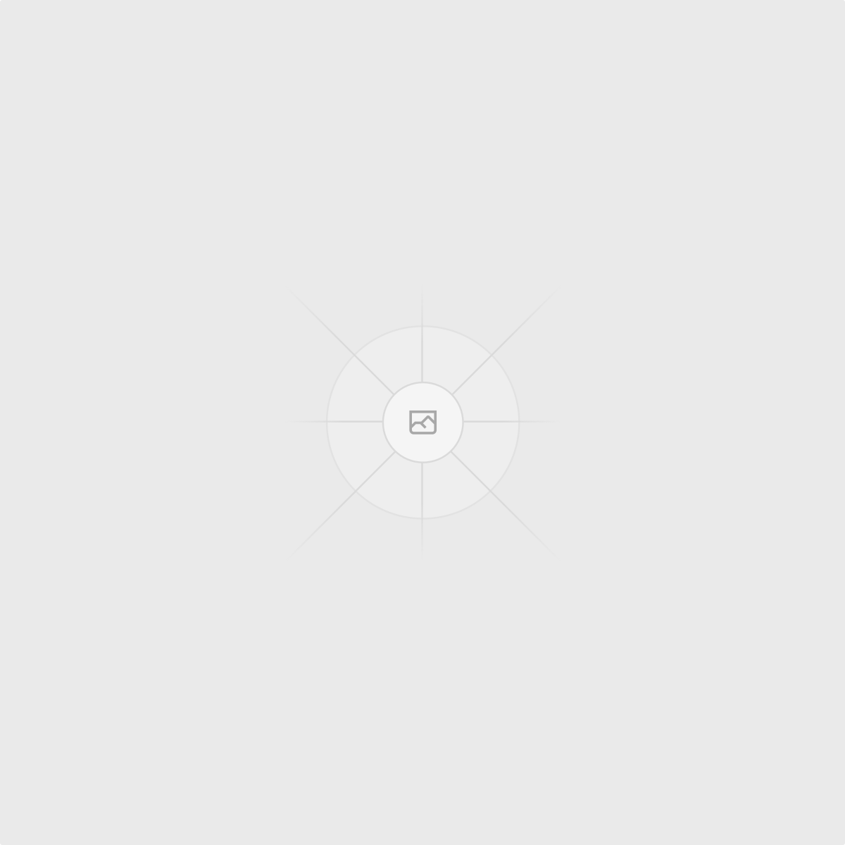 Zafeguard Wallet Preview